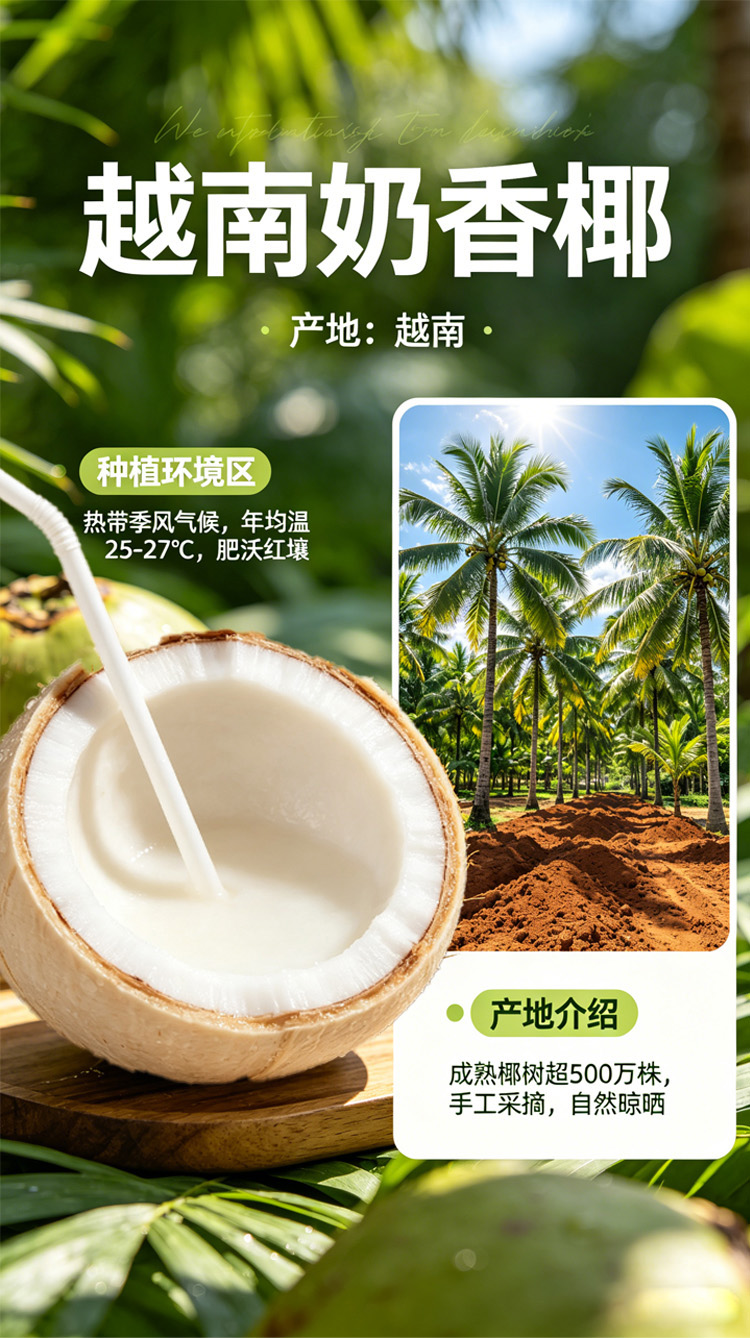 越南奶香椰长图01.jpg