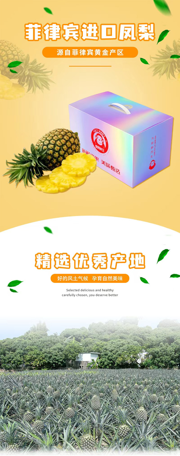凤梨长图01.jpg