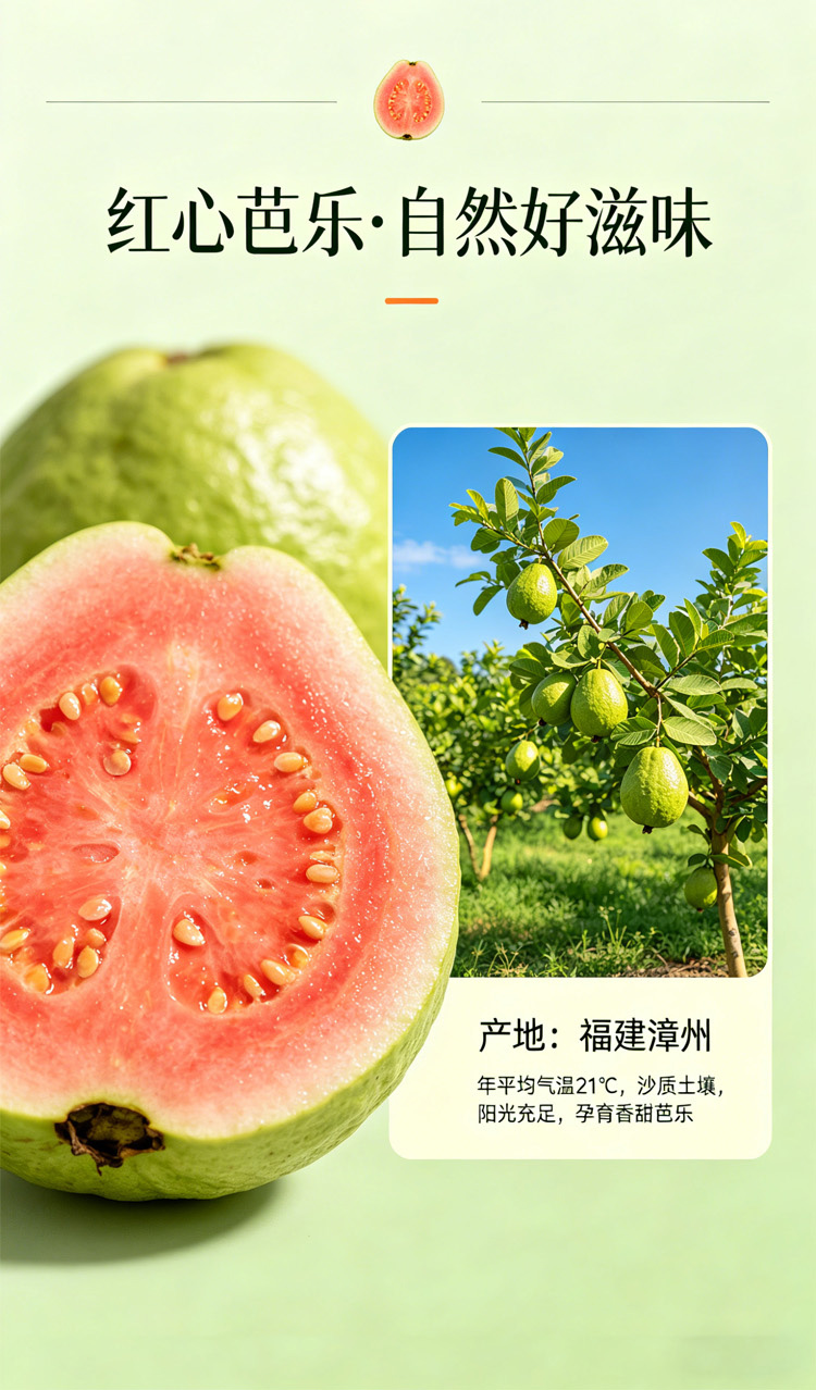 红心芭乐长图01.jpg