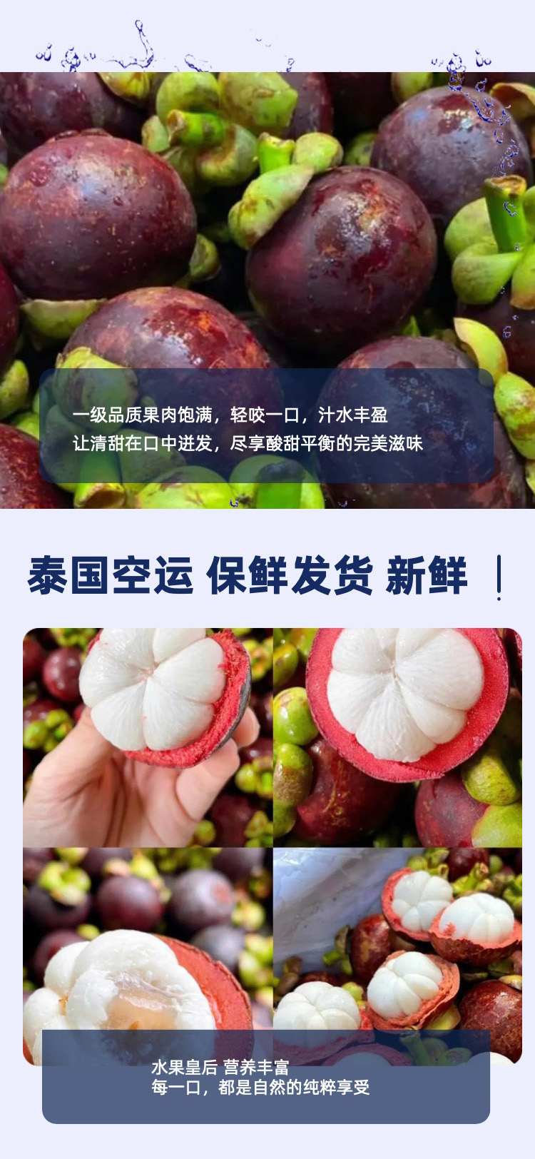 泰国山竹长图03.jpg
