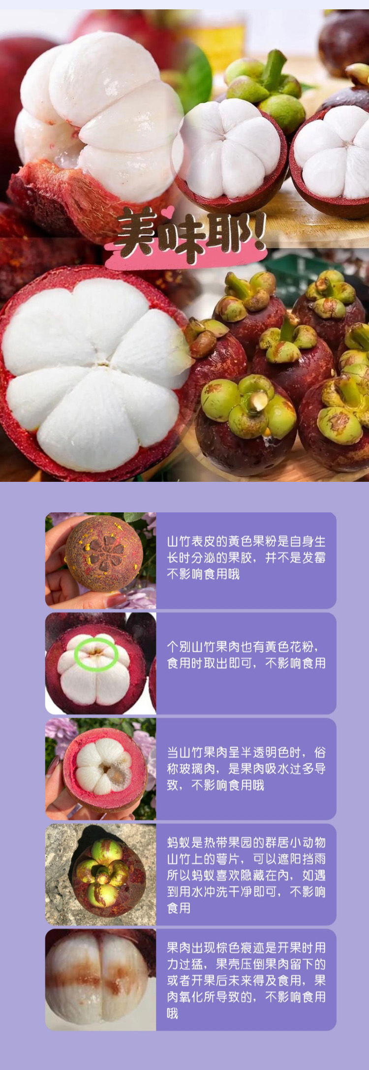 泰国山竹长图04.jpg