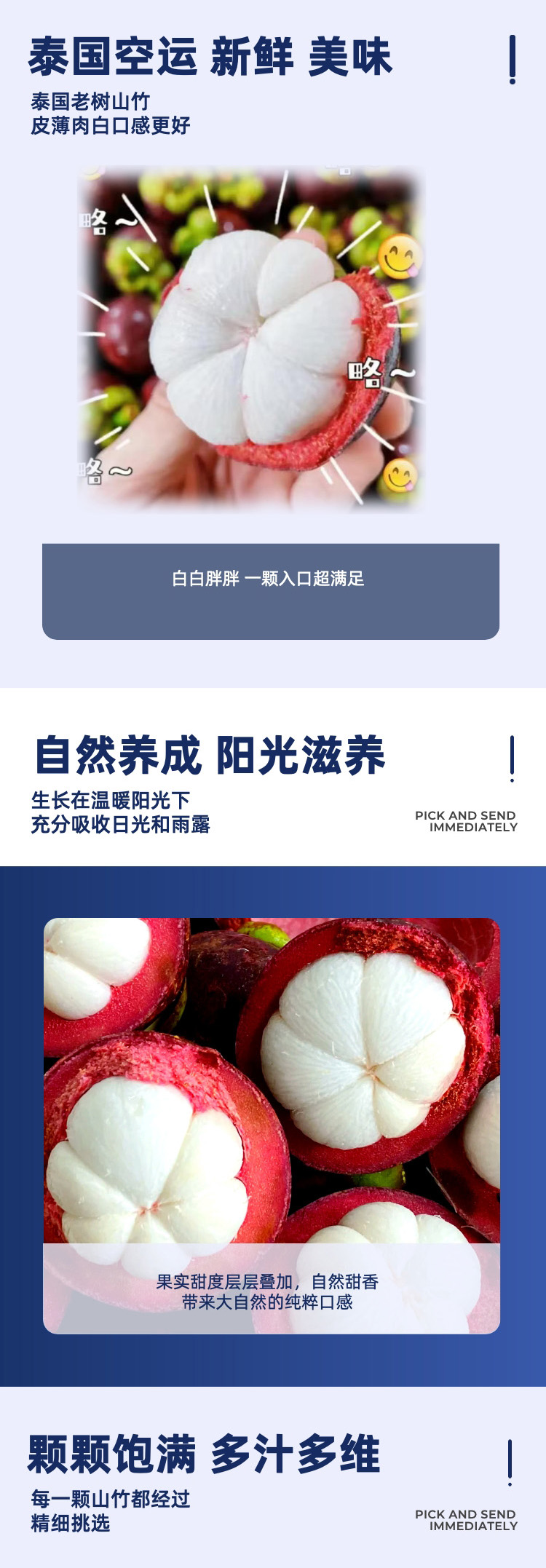泰国山竹长图02.jpg