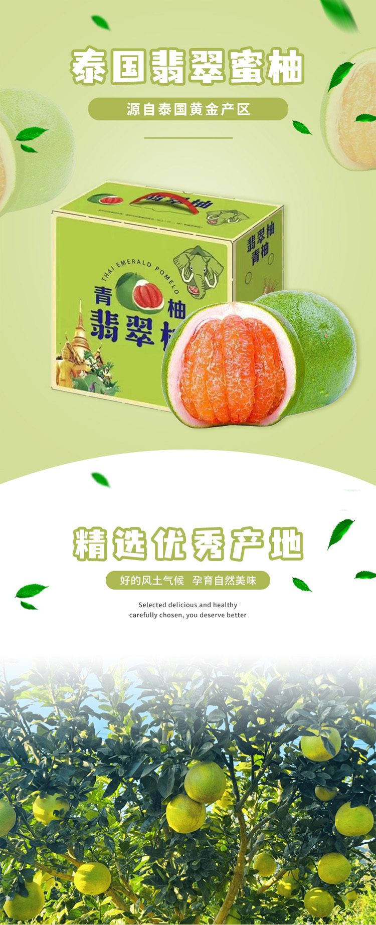 翡翠蜜柚长图01.jpg
