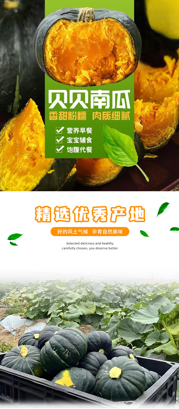 贝贝南瓜长图01.jpg