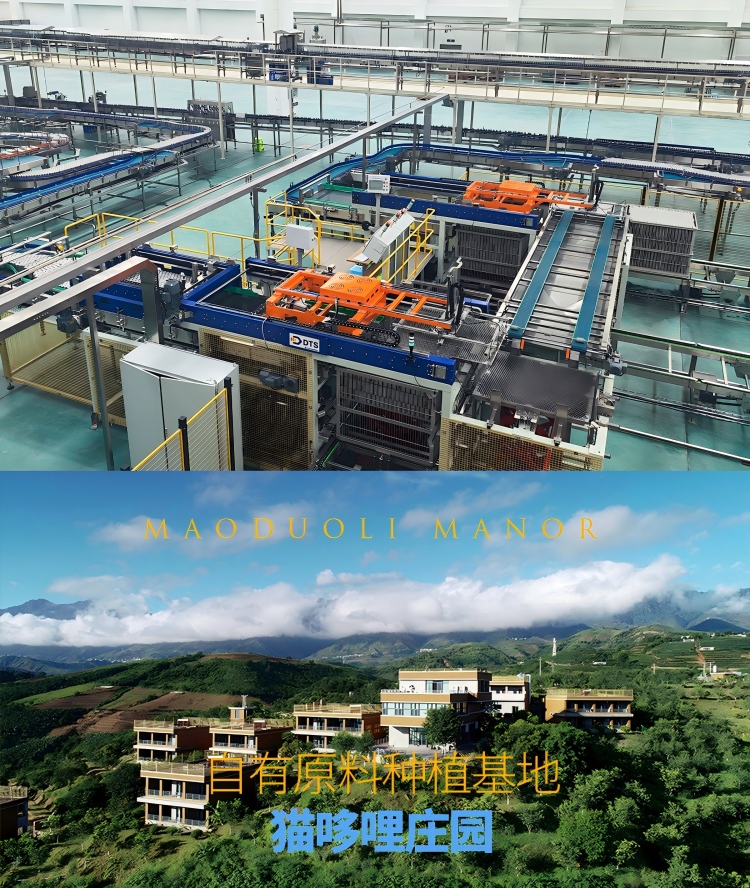 1010-天然气芒果汁详情_15.jpg