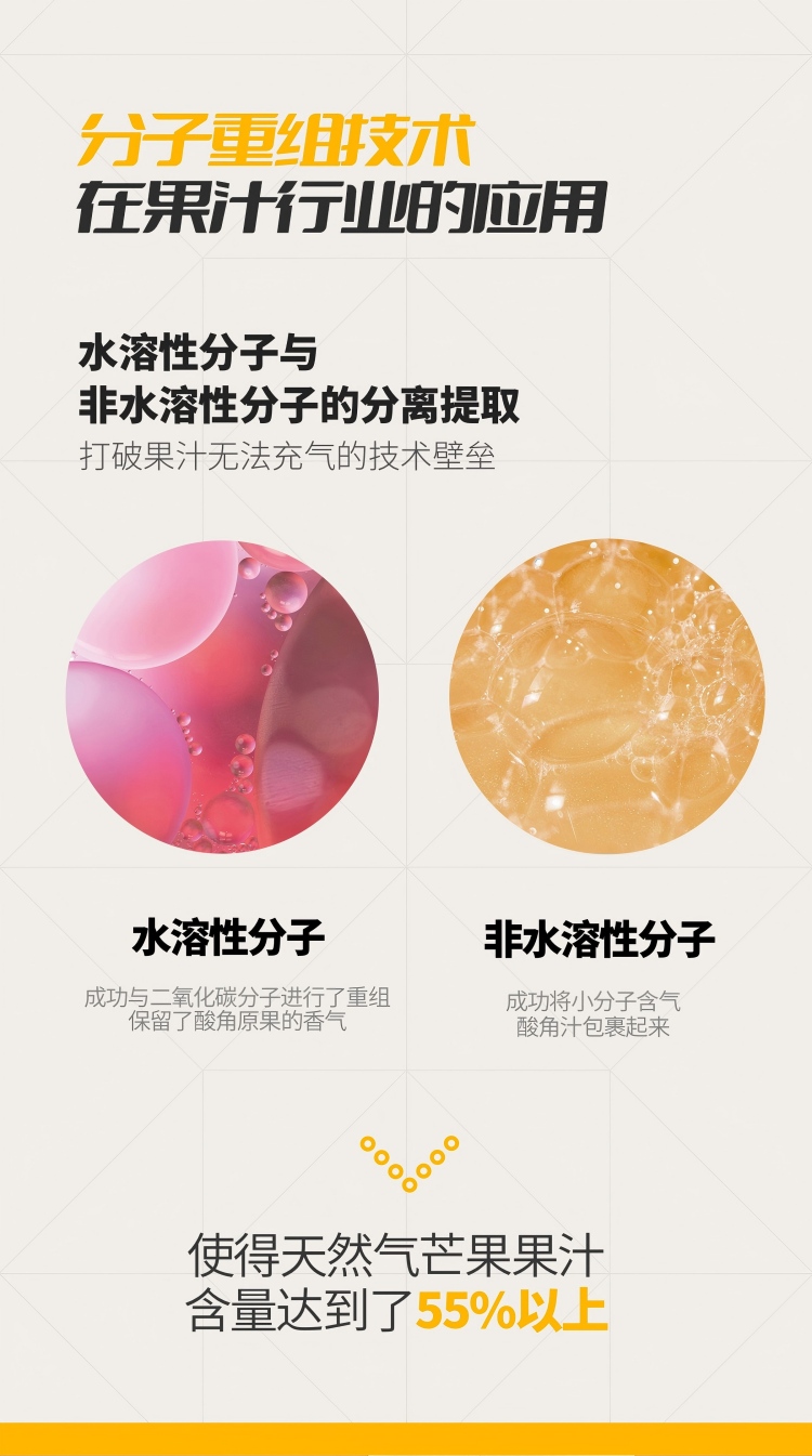 1010-天然气芒果汁详情_05.jpg