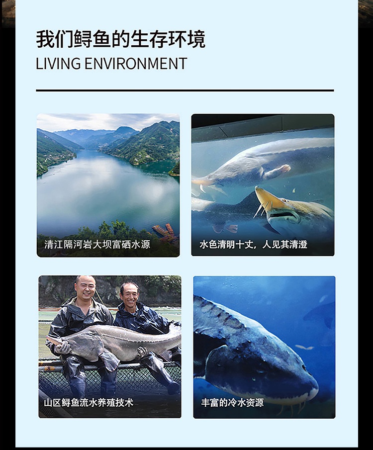 卡维尔详情页_5.jpg