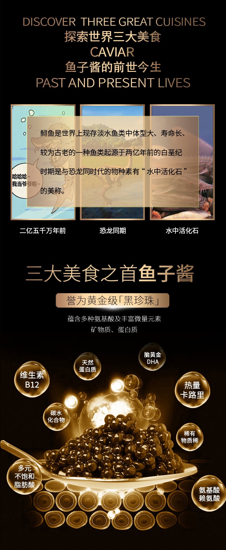 卡维尔详情页_2.jpg