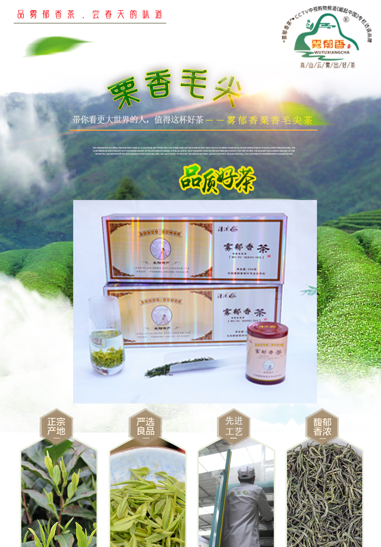 毛尖礼盒_01.jpg