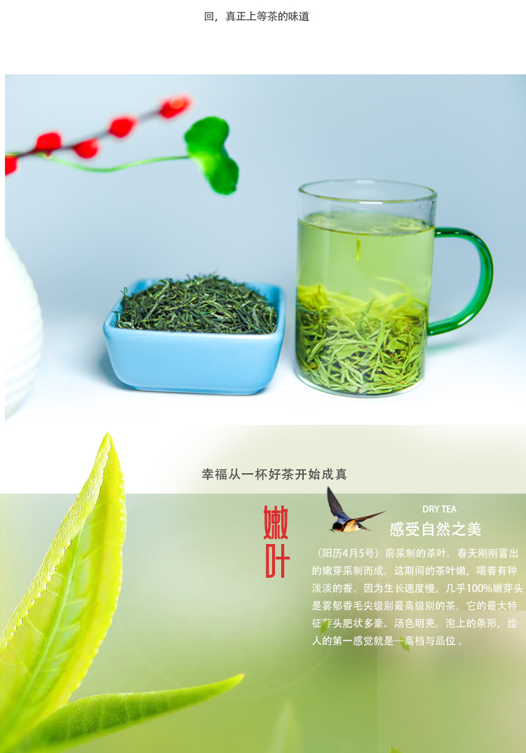 绿茶袋装_03.jpg