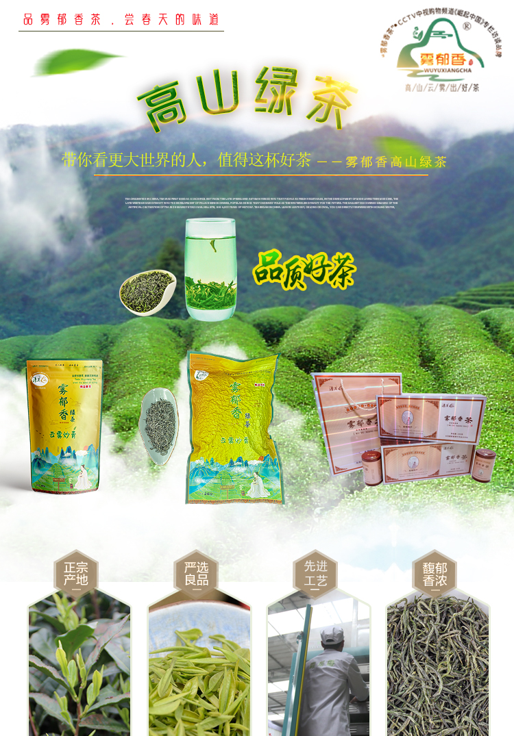 绿茶袋装_01.jpg