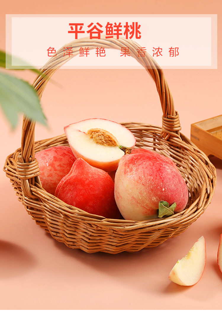 文1.jpg