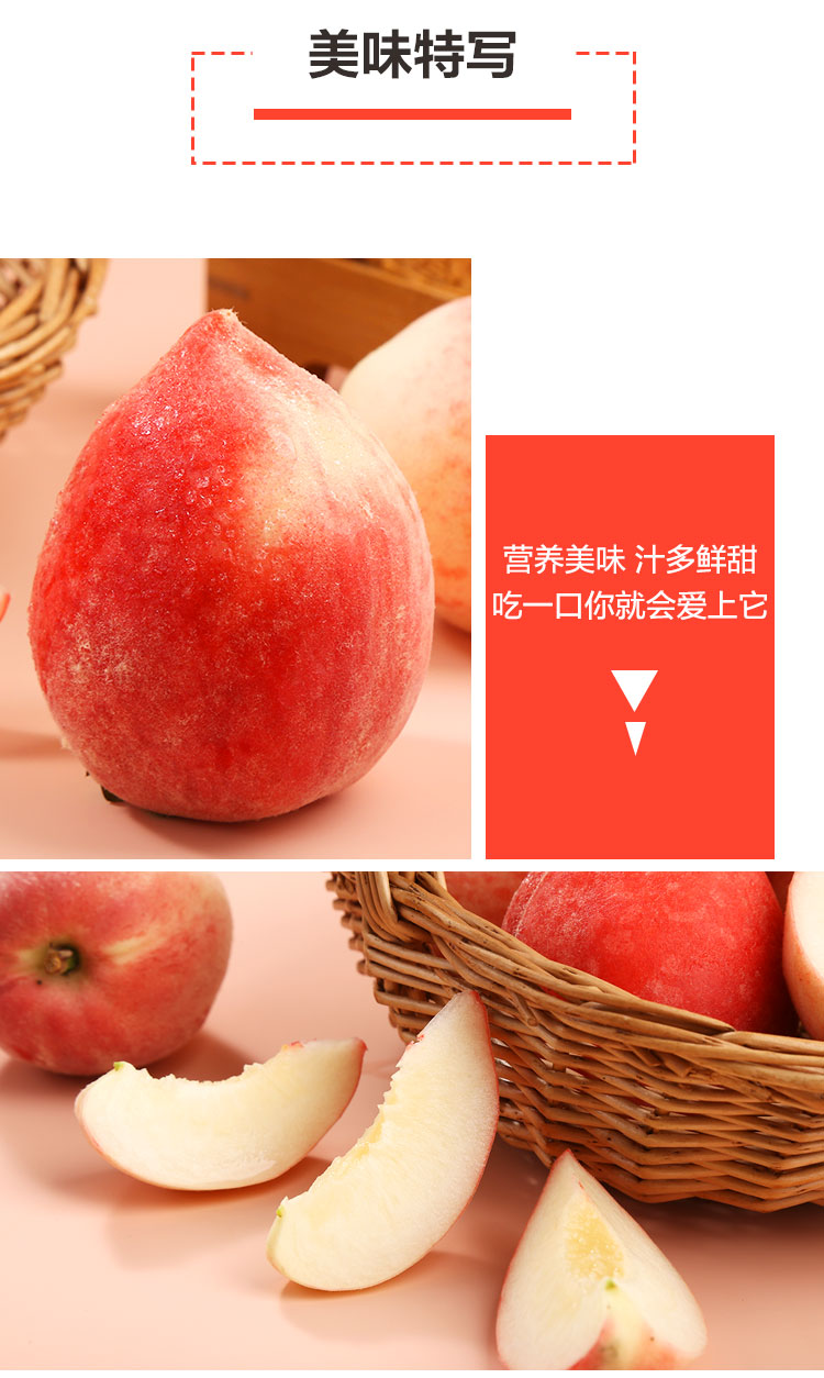 文2.jpg