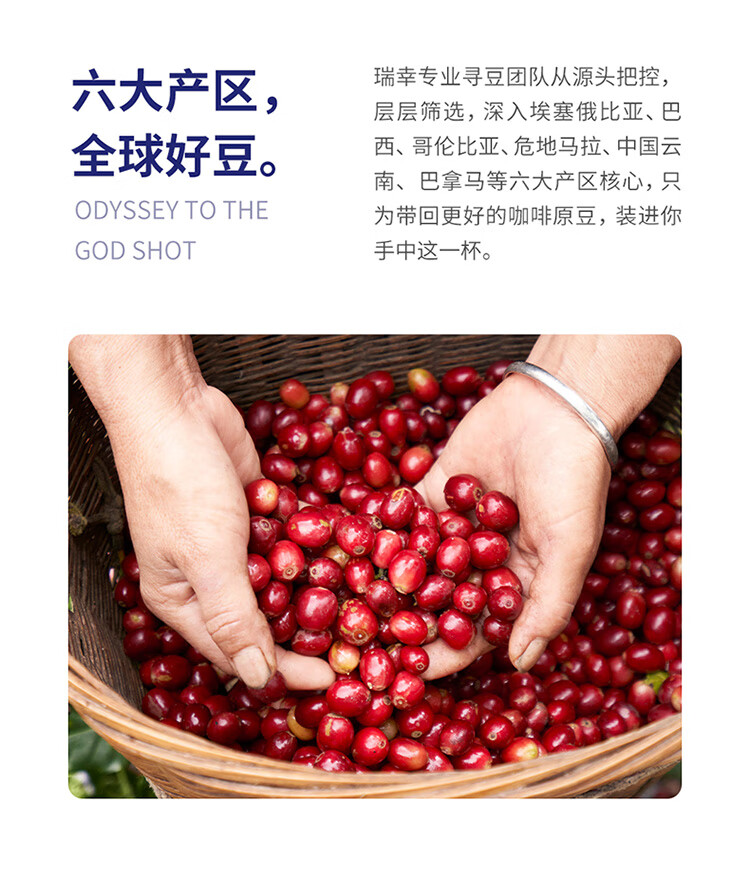 详情-29.jpg