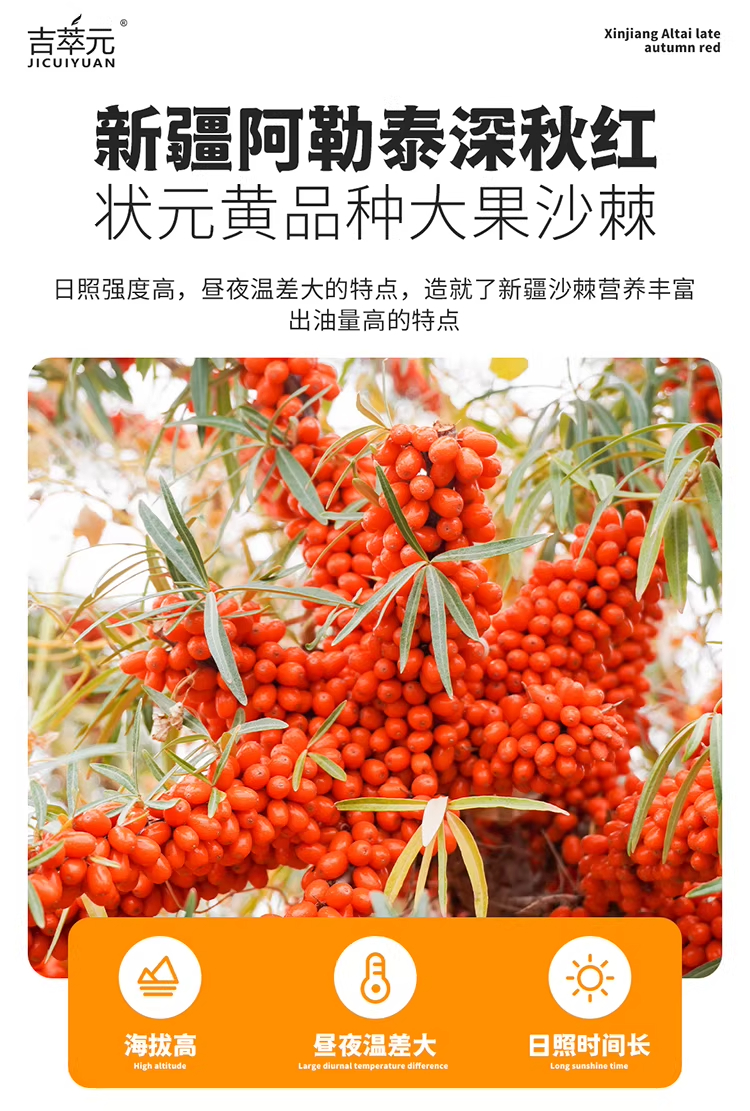 详情图_06_PC.jpg