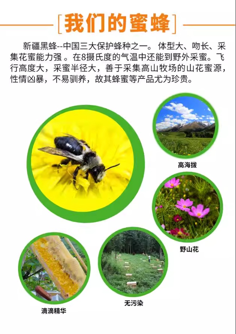 详情图_04_PC.jpg
