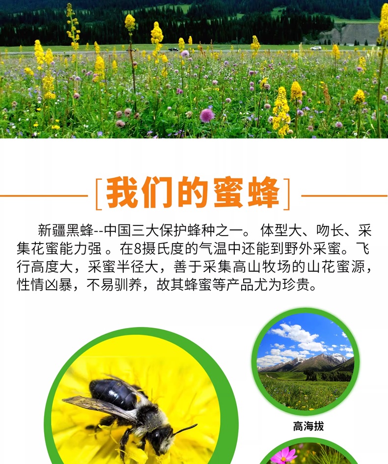 详情图_04_PC.jpg