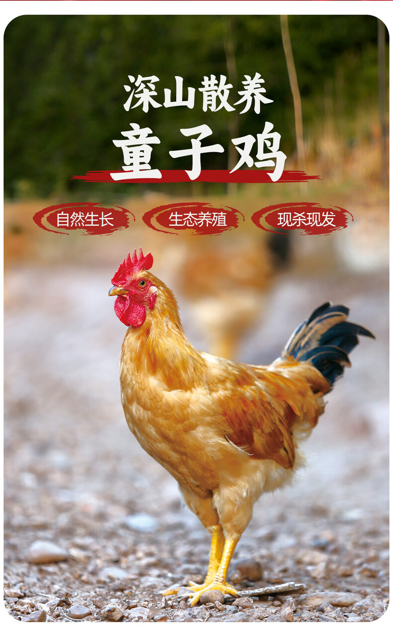 详情_02.jpg