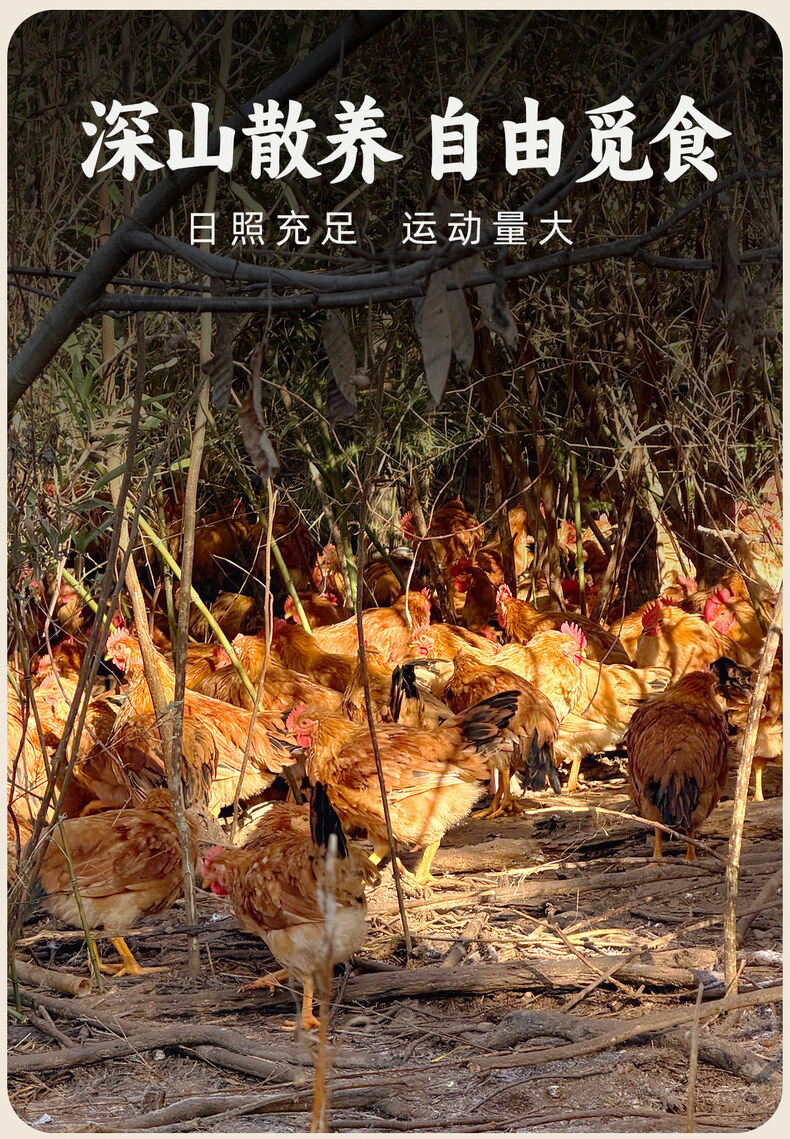 详情_06.jpg