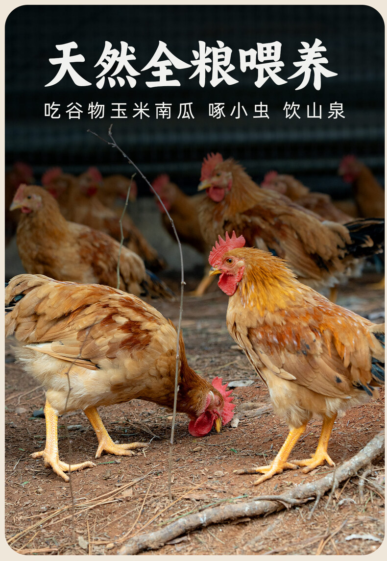 详情_07.jpg