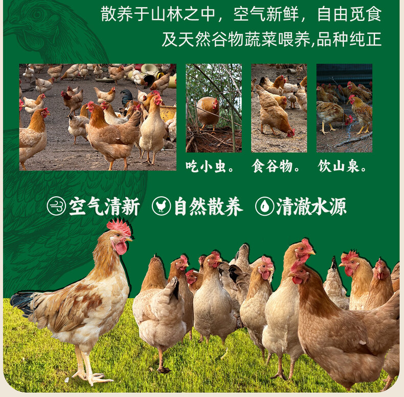 详情_04.jpg
