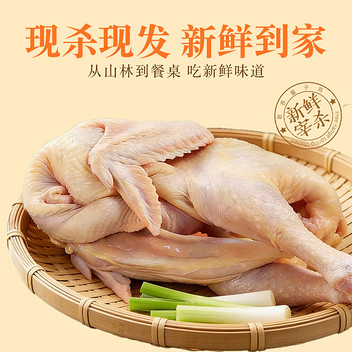 文森卡深山散养童子鸡650g*2只