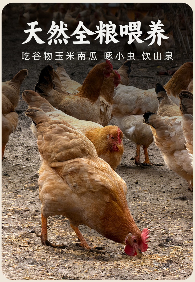 详情_07 (1).jpg