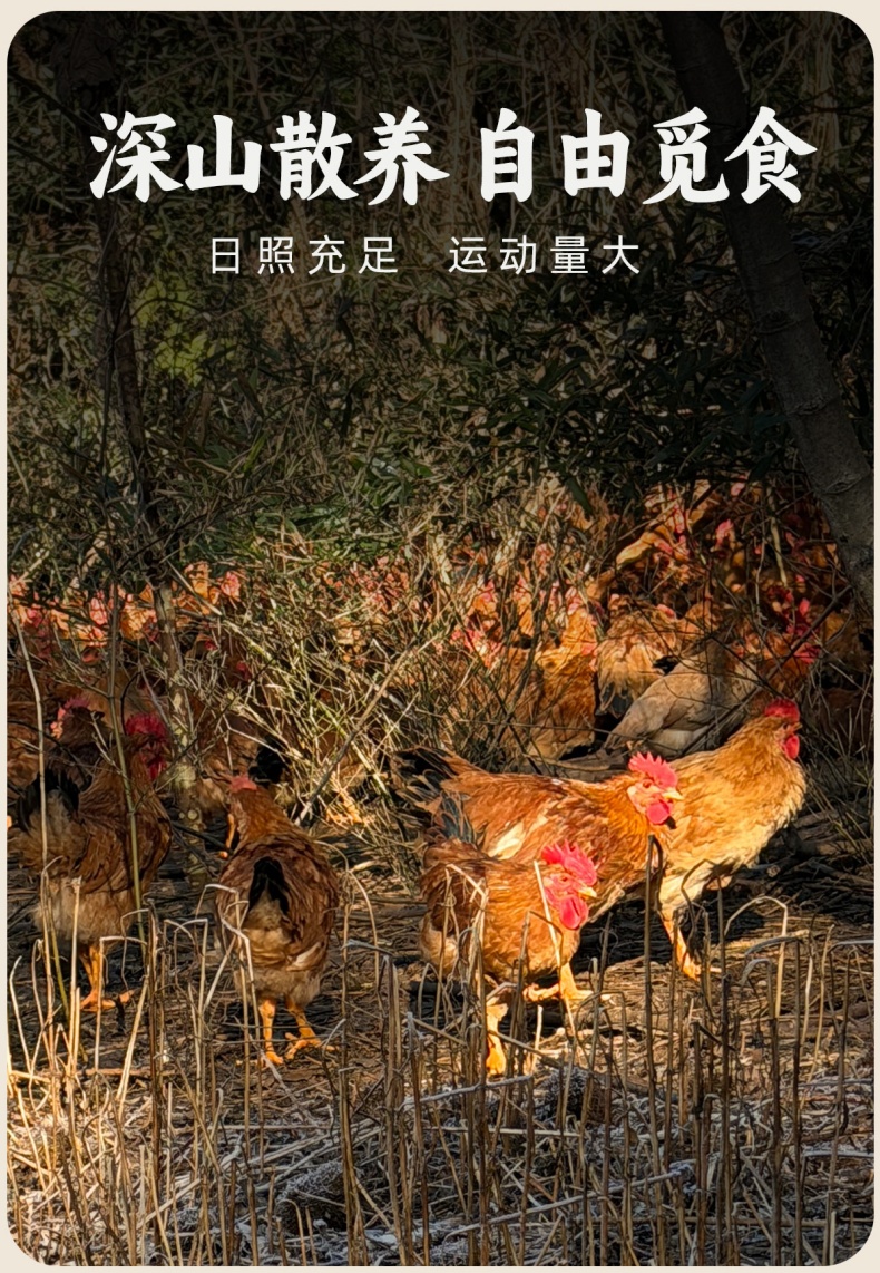 详情_06 (1).jpg