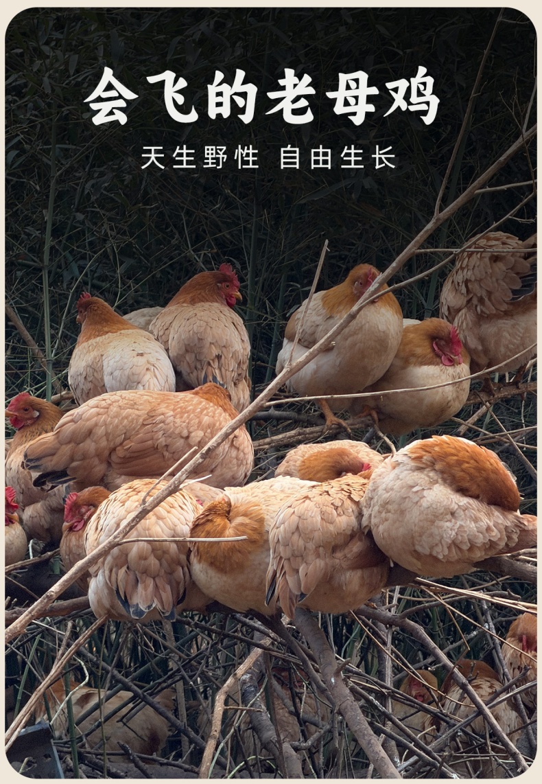 详情_05 (1).jpg