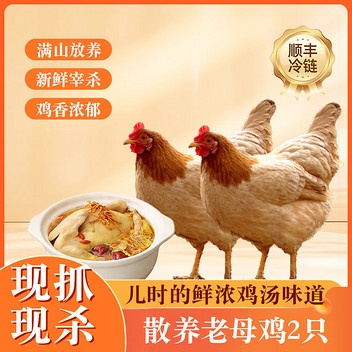 文森卡深山散养老母鸡900g*2只