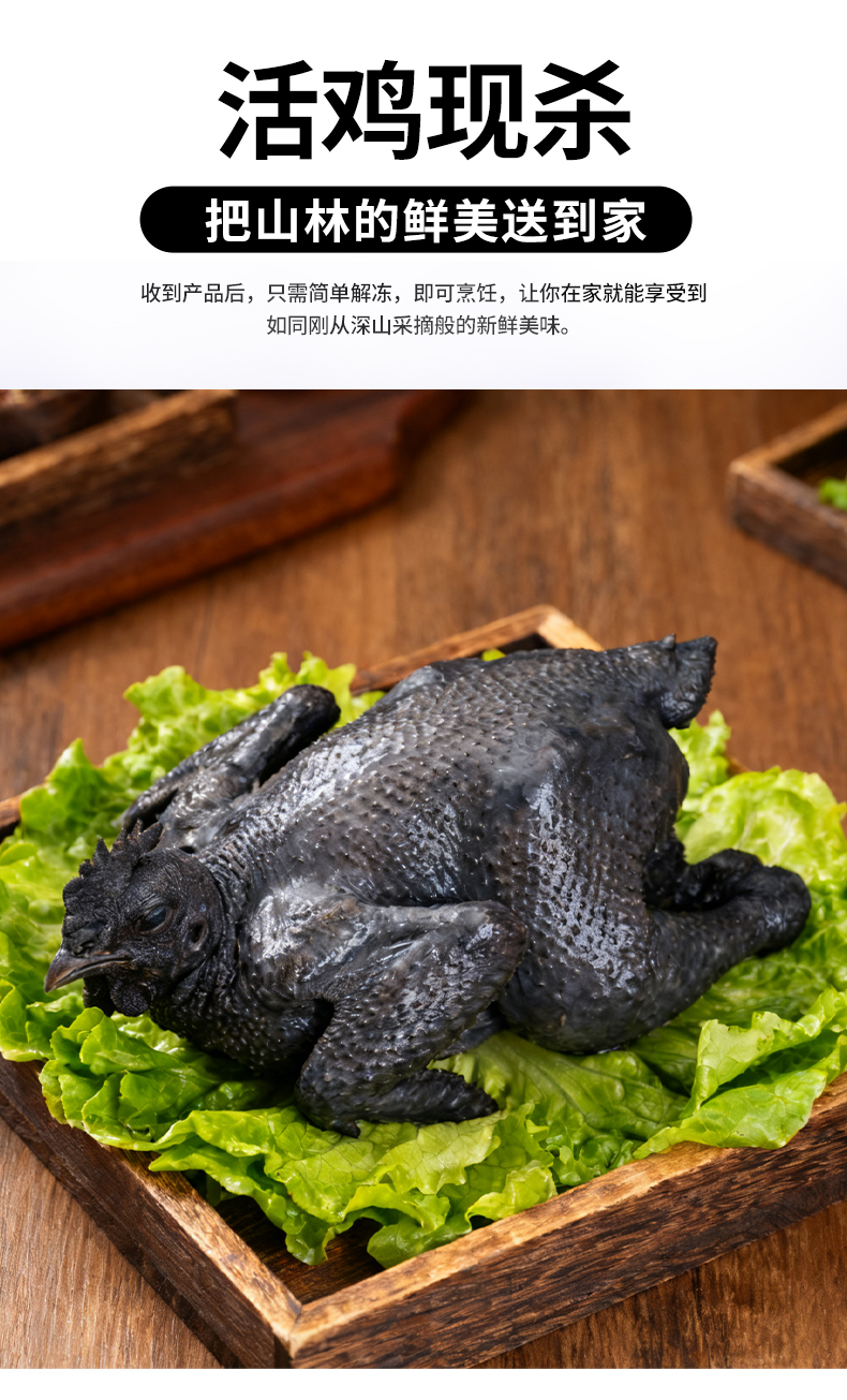 舌尖攻略白毛乌鸡详情_05.jpg