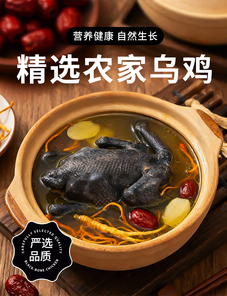 舌尖攻略白毛乌鸡详情_01.jpg