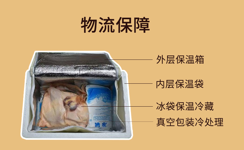 老母鸡（黄袋）详情-1_12.jpg