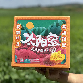 云南太阳蜜薯4.5斤精品装 单果150克-400克