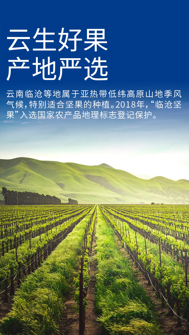 详情页1.jpg