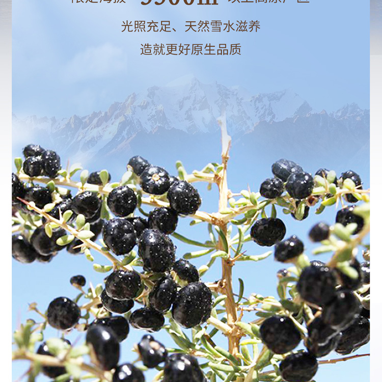 400黑-抖音_05.jpg