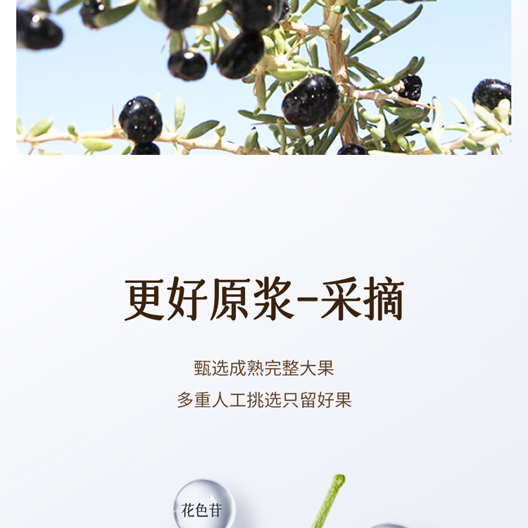 400黑-抖音_06.jpg