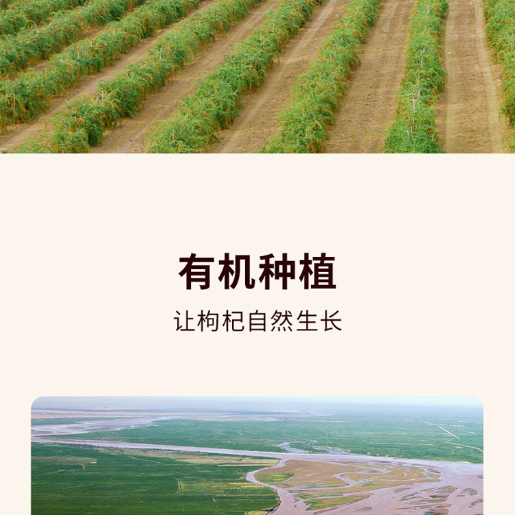 500ml有机原浆z_06.jpg