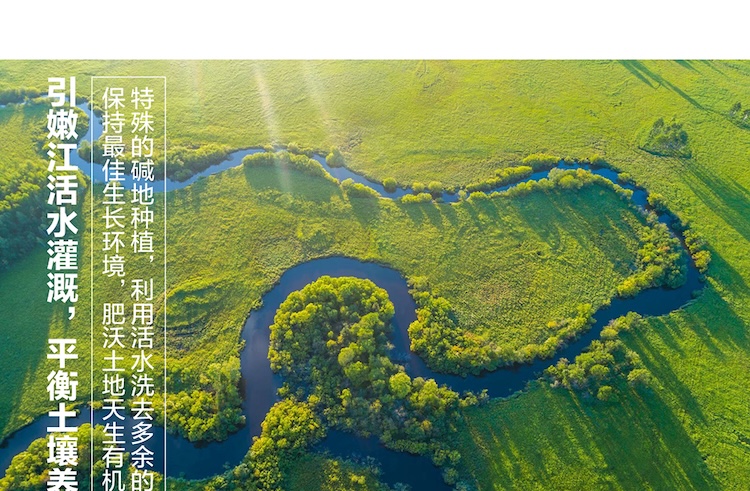 碱地香详情页5kg_画板-1_04.jpg
