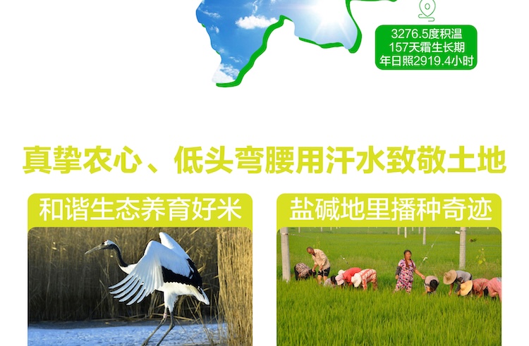 碱地香详情页5kg_画板-1_08.jpg