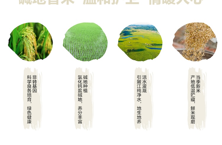 碱地香详情页5kg_画板-1_03.jpg