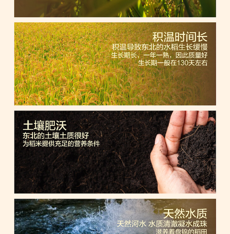 长粒香详情页_画板-1_03.png