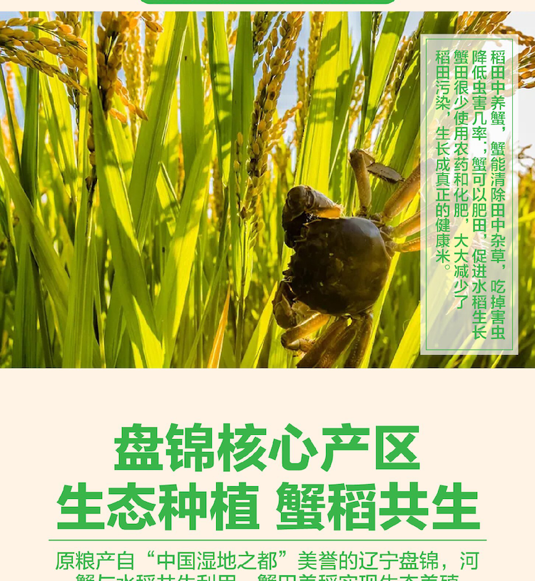 蟹田米详情页_画板-1_03.png