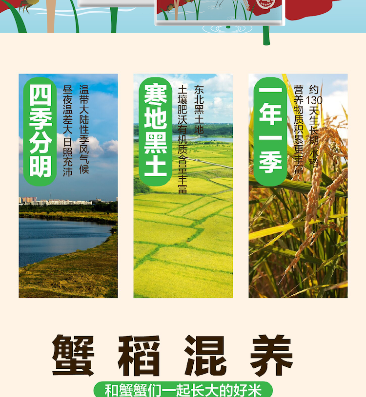 蟹田米详情页_画板-1_02.png