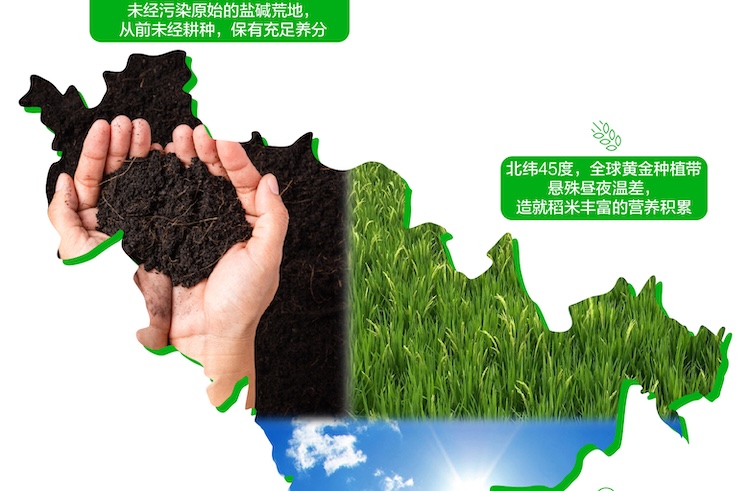 碱地香详情页5kg_画板-1_07.jpg