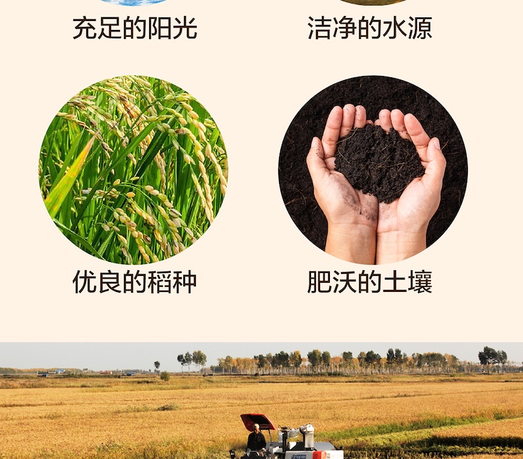 留胚米详情页_画板-1_03.jpg