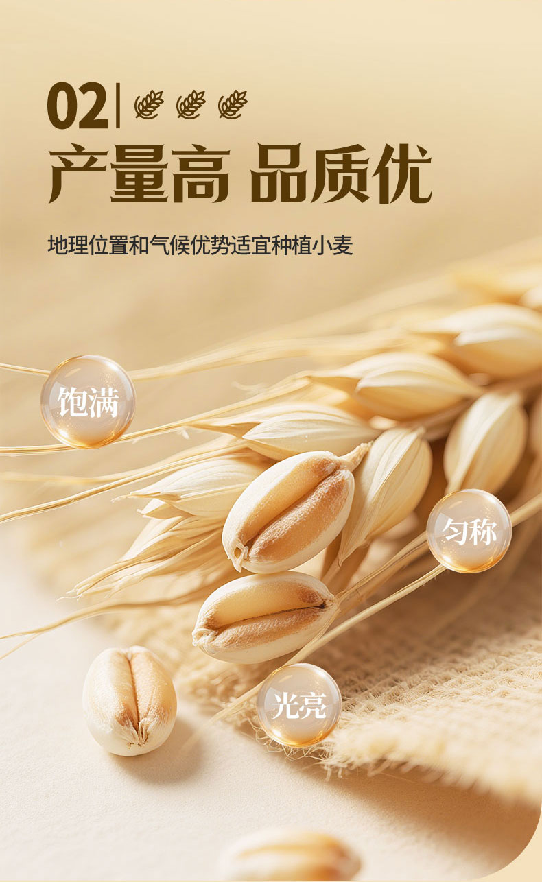 2990-新疆雪花粉5kg-790详情页_03.jpg