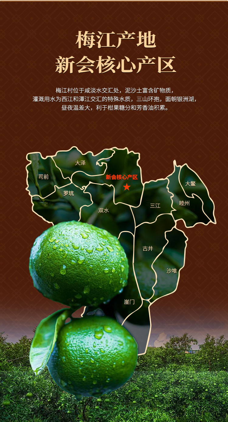 陈皮详情页_04.jpg