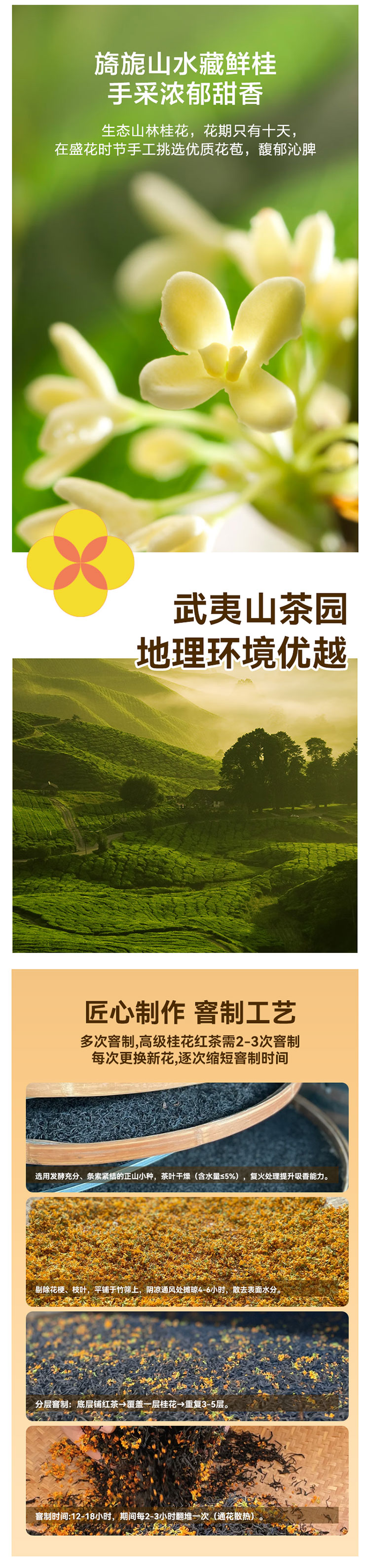 详情图_02.jpg