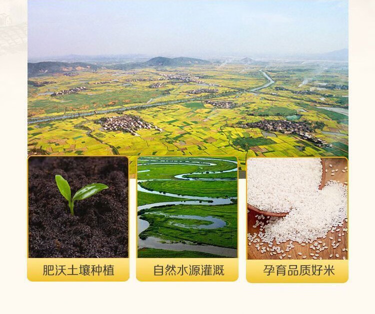 详情_003.jpg